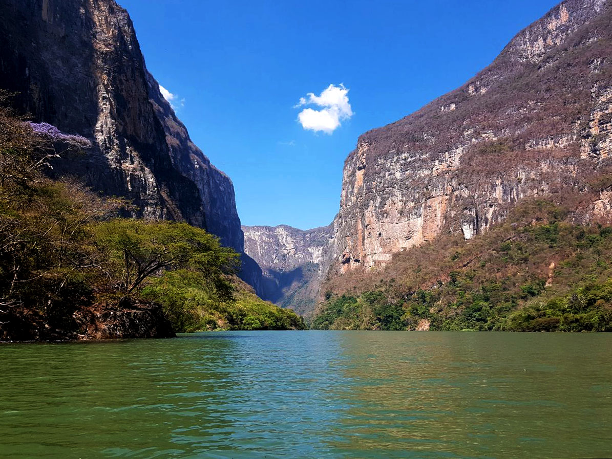 Tabasco será el primer estado de méxico con un crucero de ríos la revista del sureste mx Image 2