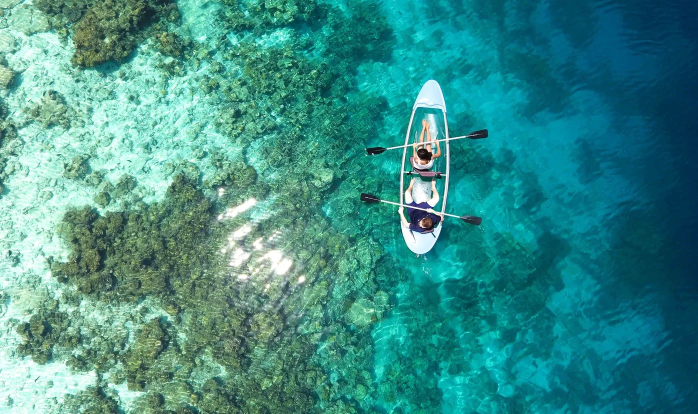 Parque nacional arrecife alacranes, un paraíso del ecoturismo en yucatán la revista del sureste mx Pexels Photo 1320684