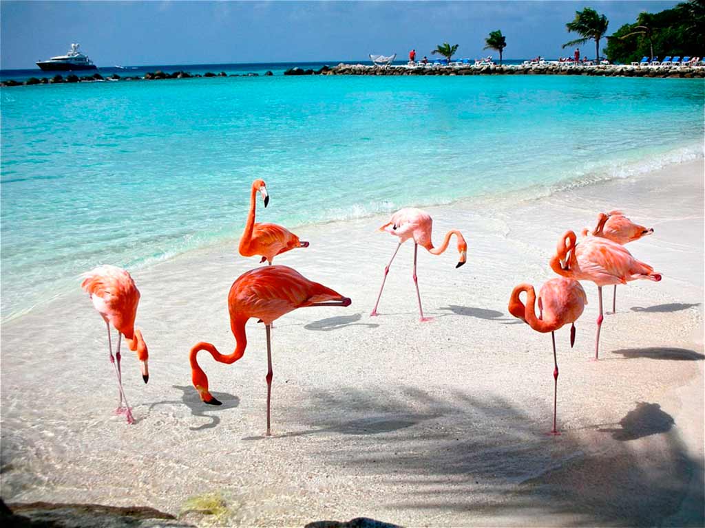 Disfruta del puerto de santa clara, un lugar perfecto para relajarte en yucatán la revista del sureste mx Playas De Yucatan Portada 12