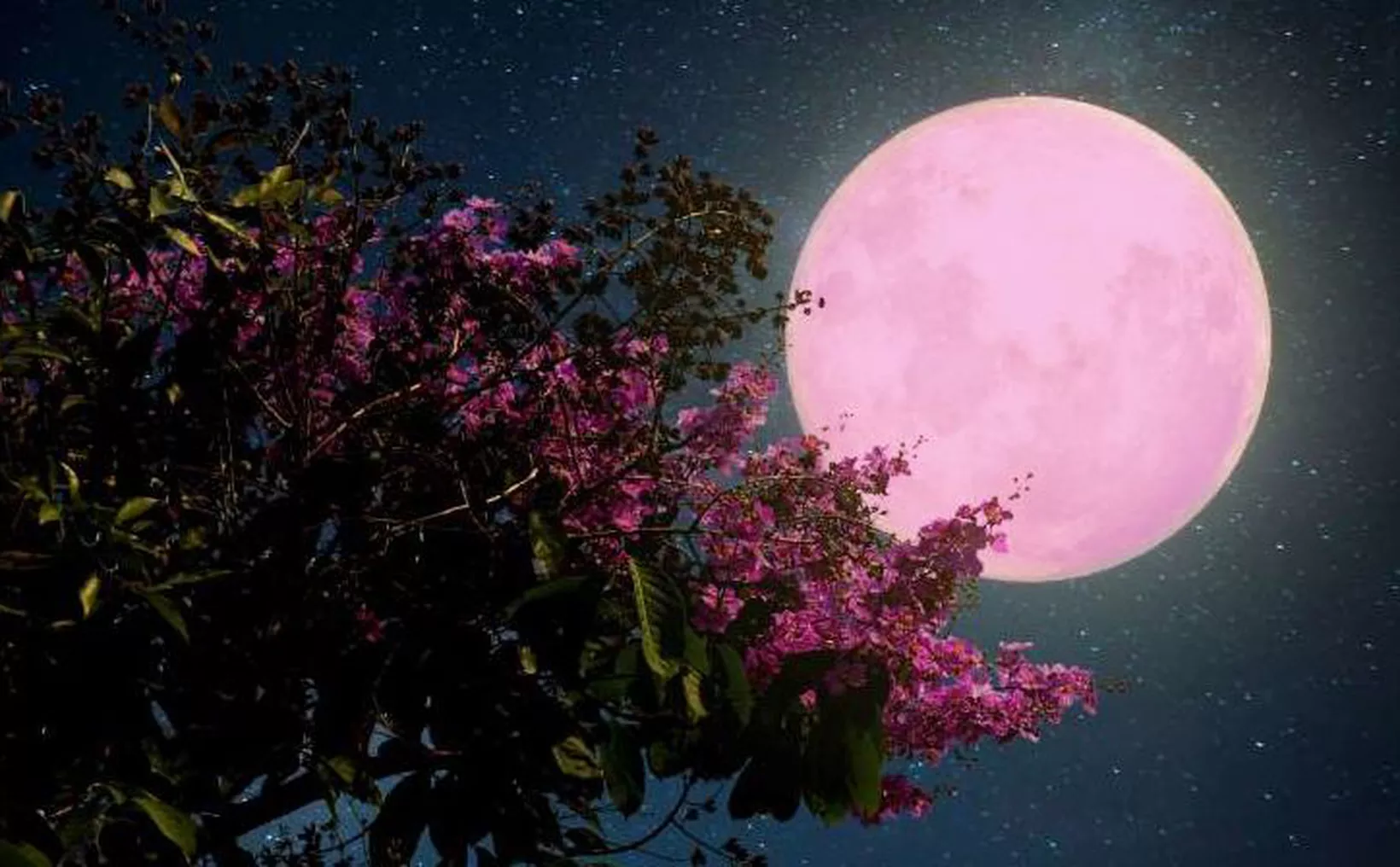 Super Luna Fresa