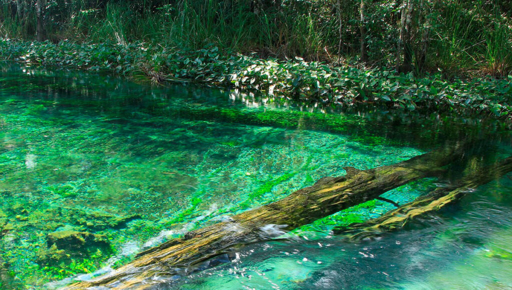 Tamazulapan, un oasis natural en oaxaca la revista del sureste mx Tamazulapan Mexico Travel