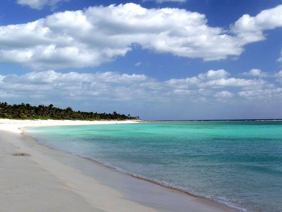 Playa xcacel, santuario de la tortuga marina en la riviera maya la revista del sureste mx Dal9Uwhvaaayvrk