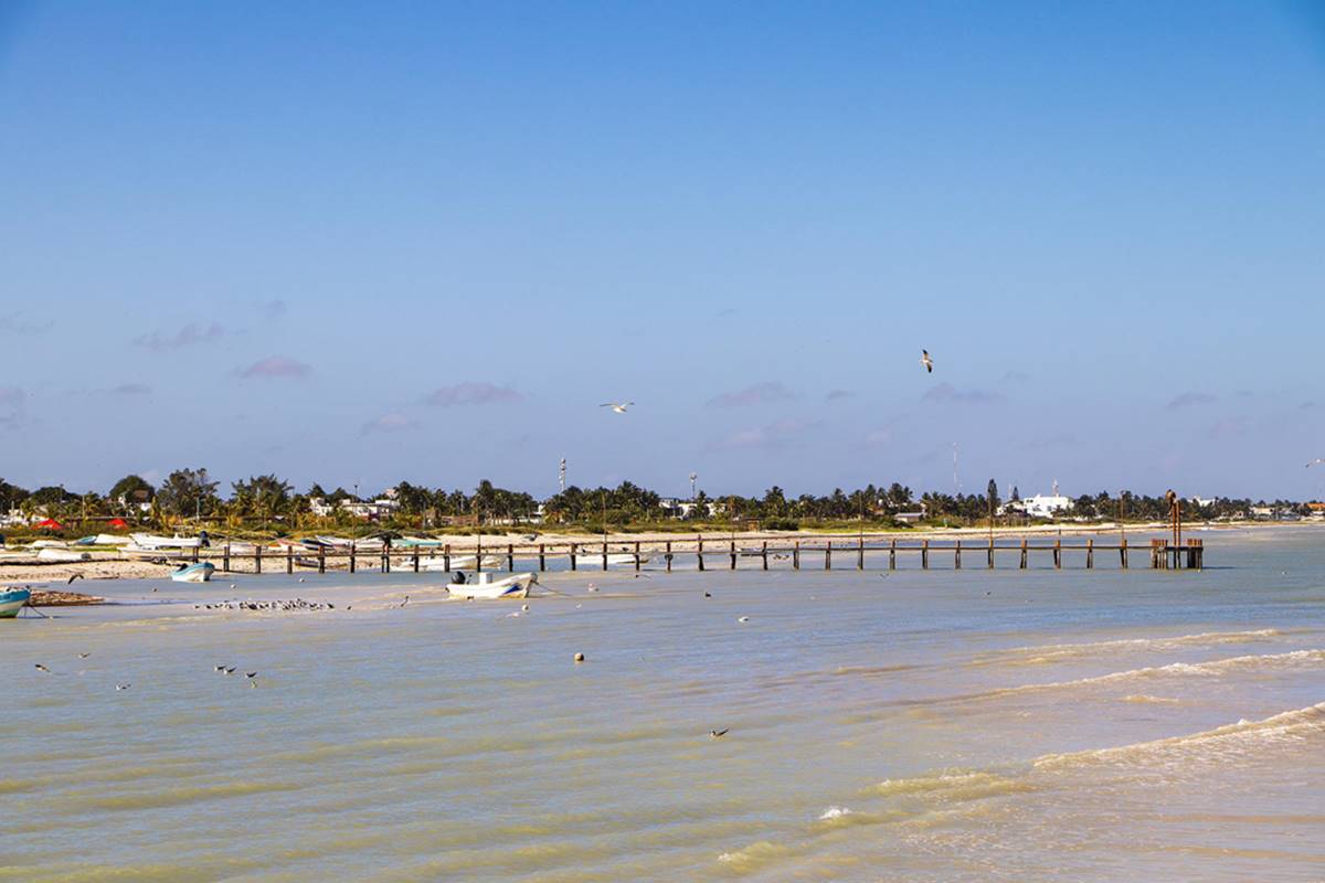 Marea Roja Yucatan 1