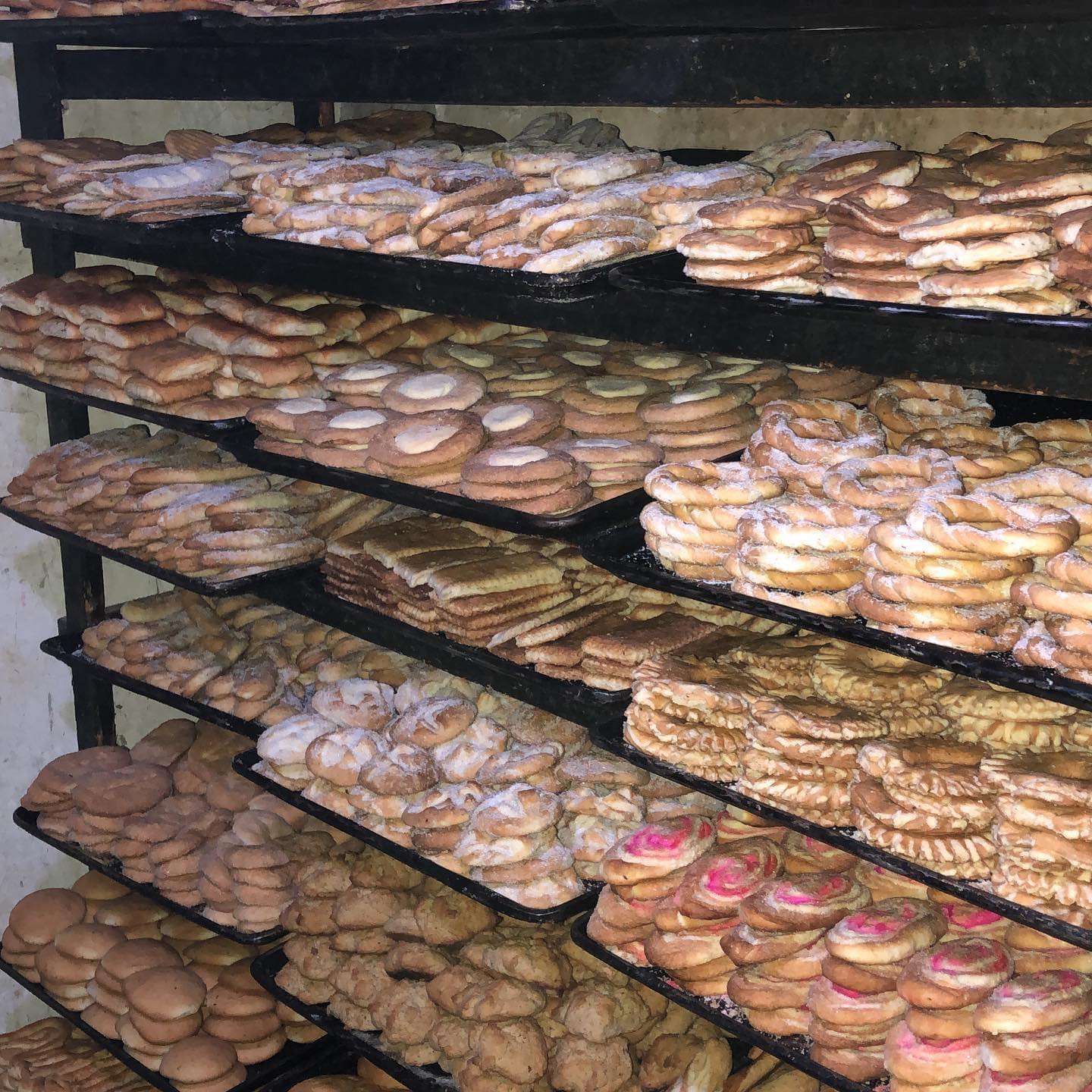 117287679 2577560469161843 576747341158474170 N