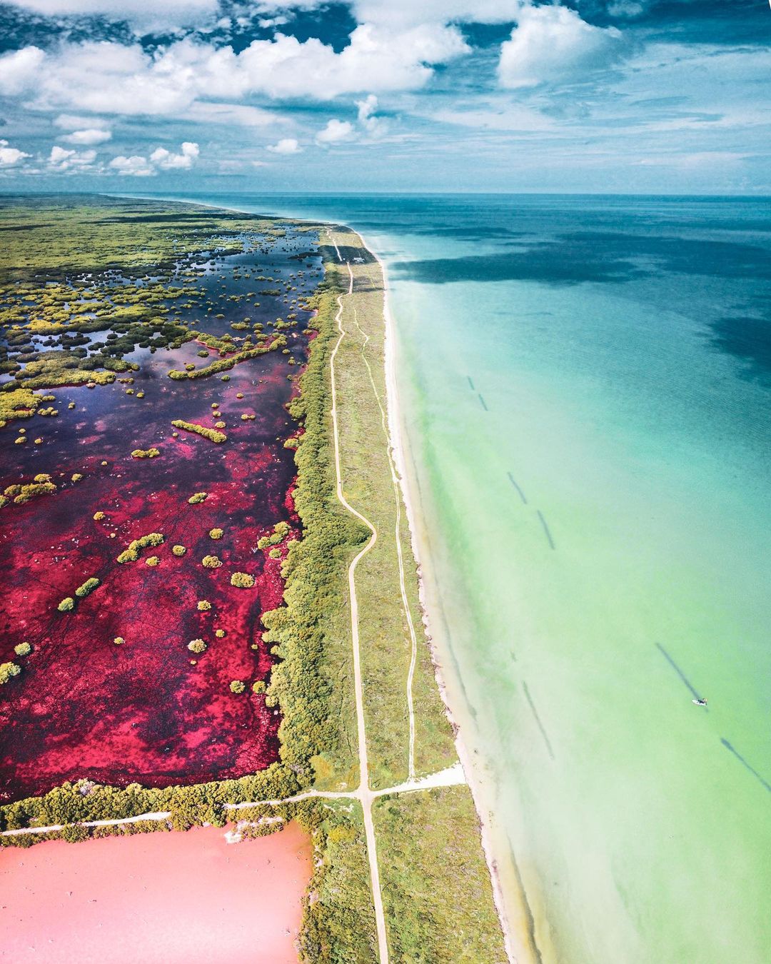 121594172 963938604101035 6334181546744693392 N 1607016000