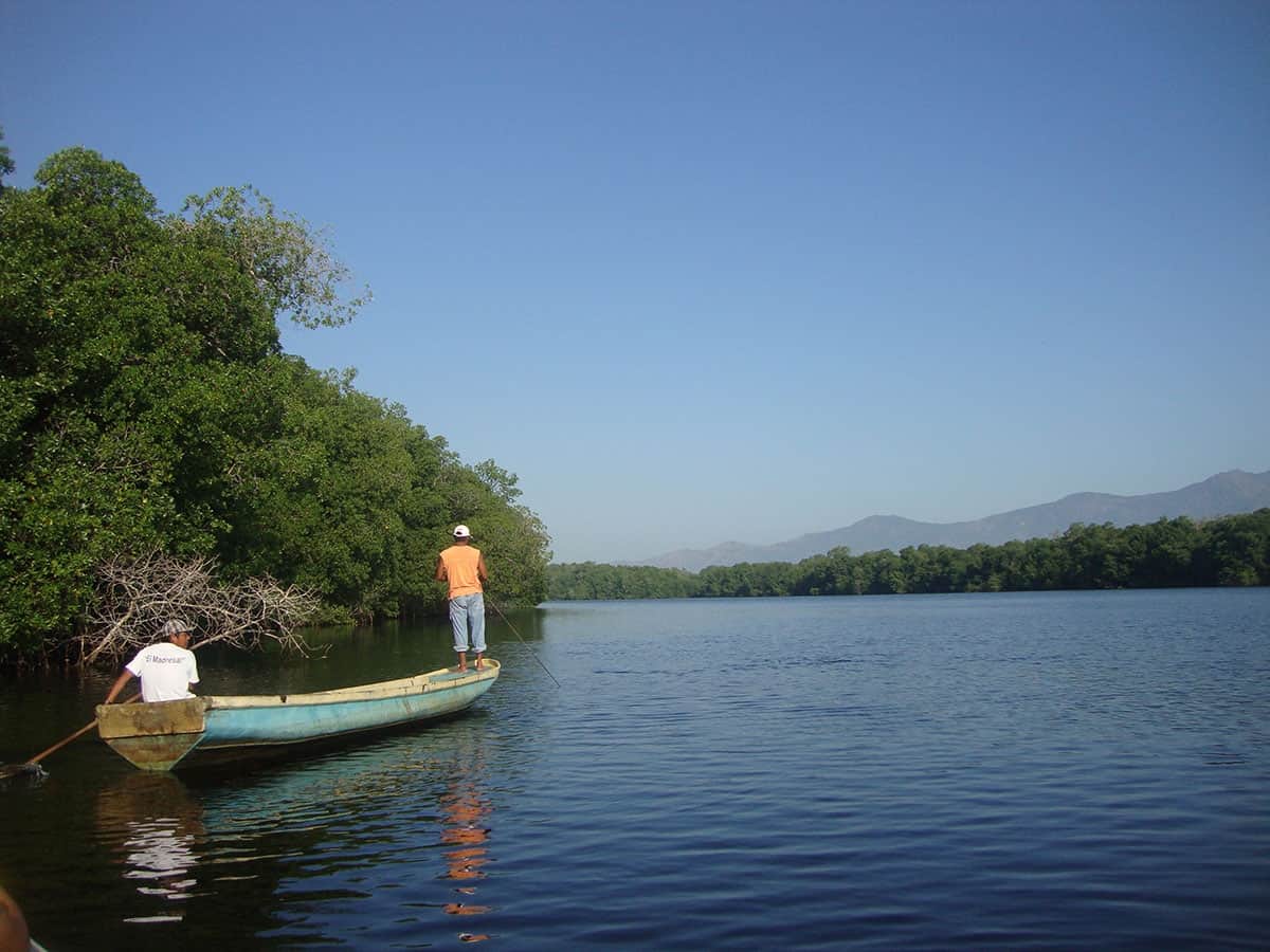 39B88A43 17062020 0116