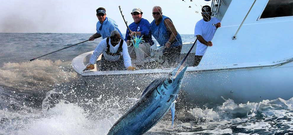 9A94Ca F75A23Cd664C4D9D9De6638F2D865E5F Mv2