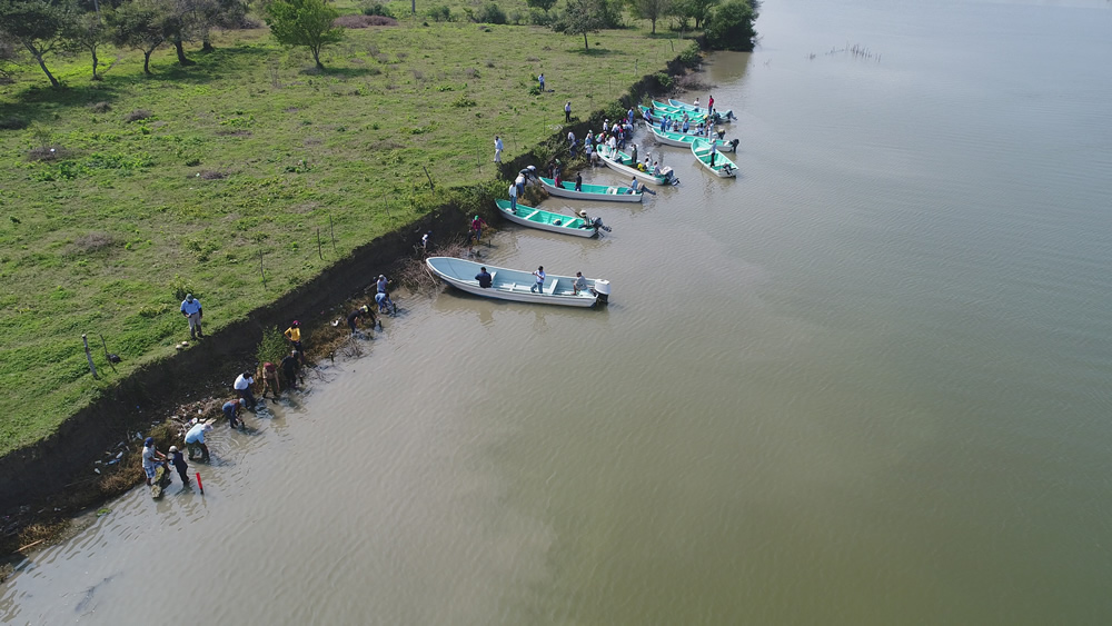 Dji 0072