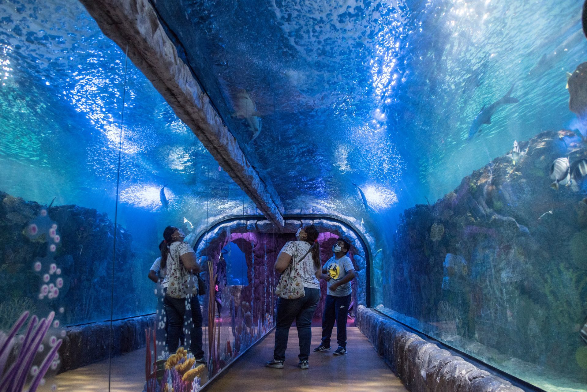 Euu7Szaf6Fazblu4Yiwsmiikcy