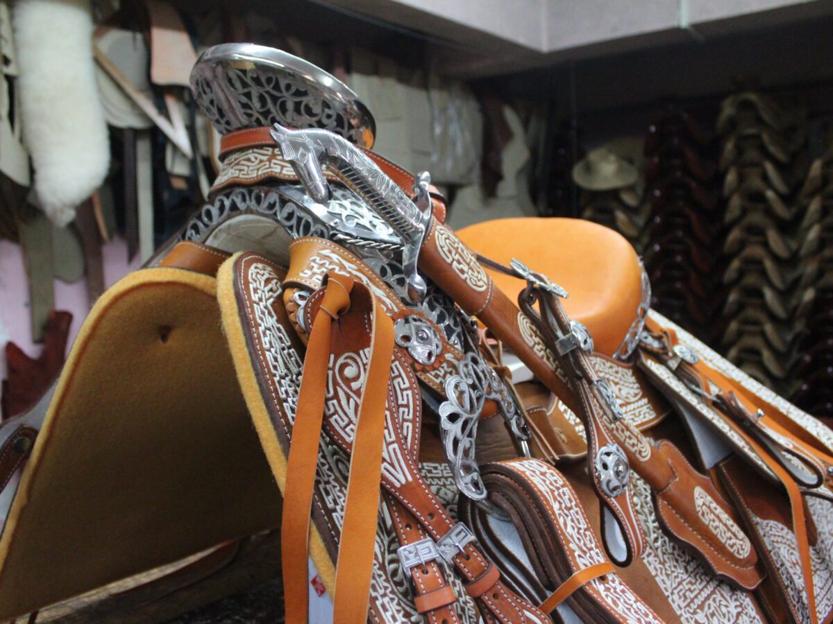 Img 3012 1200X900 Cropped