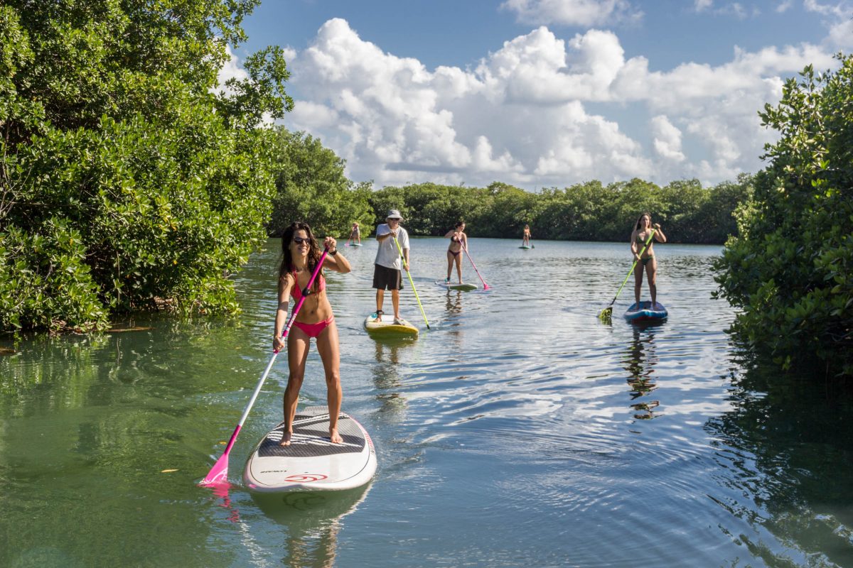 Stand Up Paddle Cancun 73 1