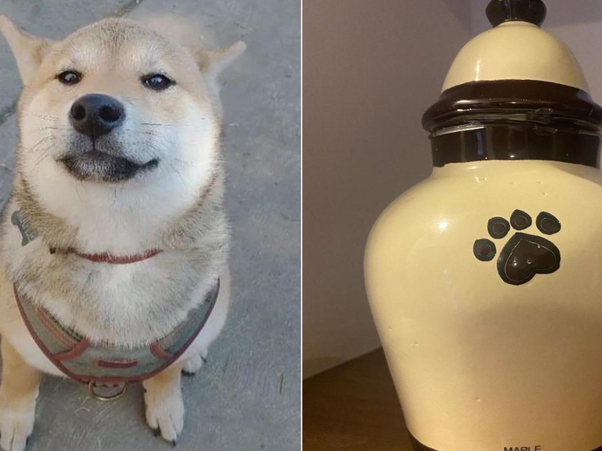 Urazbbsoxbexbl5Tmigpw6Y624