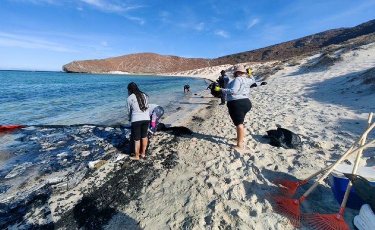 Balandra: un yate de extranjeros se incendió y causó un desastre ecológico en la playa más bonita de méxico la revista del sureste mx Contaminacion Yate Balandra