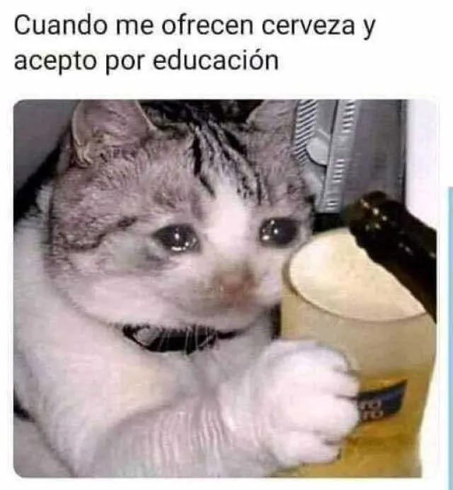 Cuando Me Ofrecen Cerveza Y Acepto Por Educacion