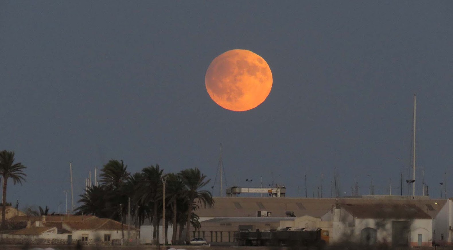 Luna Cosechas