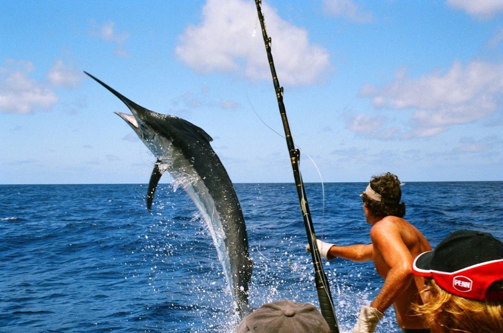 Pesca Los Cabos 1024X678 1