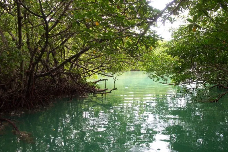 Ecoturismo en campeche, descubre estos maravillosos lugares la revista del sureste mx Pyu Qroo Sian Mjs 0047
