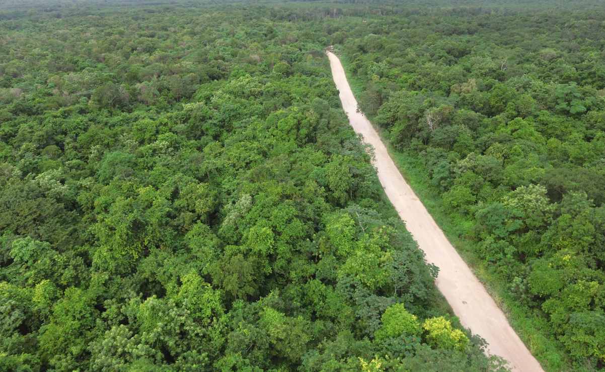 AMLO expropia 109 hectáreas para continuar la construcción del tren maya