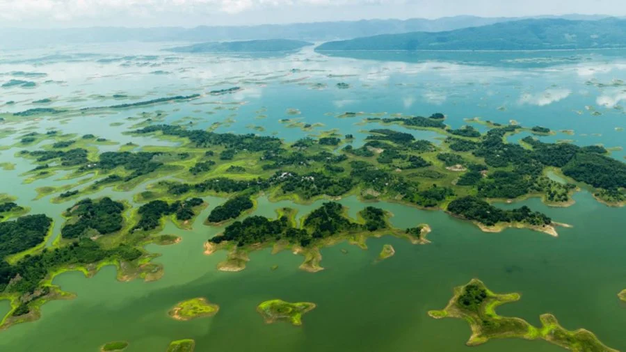 Mil islas, un destino paradisíaco y poco explorado en oaxaca la revista del sureste mx 10258532 593872660770400 4914807645167599714 O 900X506 1