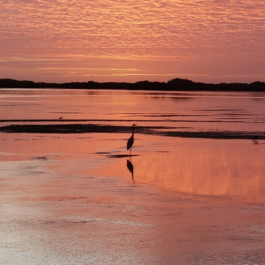 Conoce el puerto de chabihau en yucatán la revista del sureste mx 137069597 3642893235801485 3317788760025449286 N