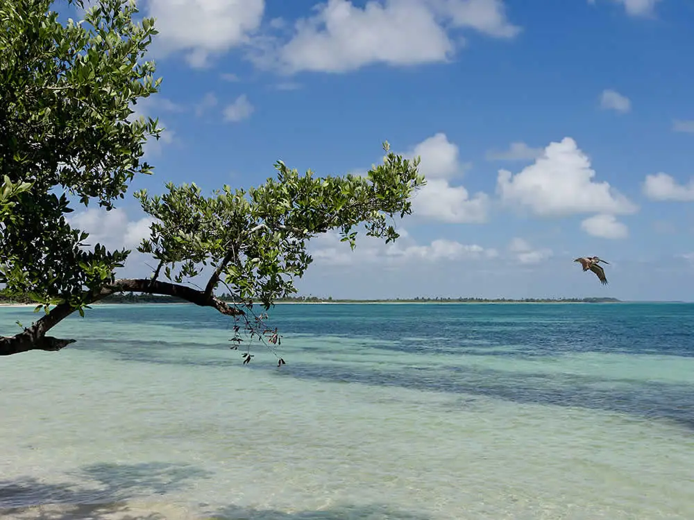 Bahía De Paredón En Chiapas