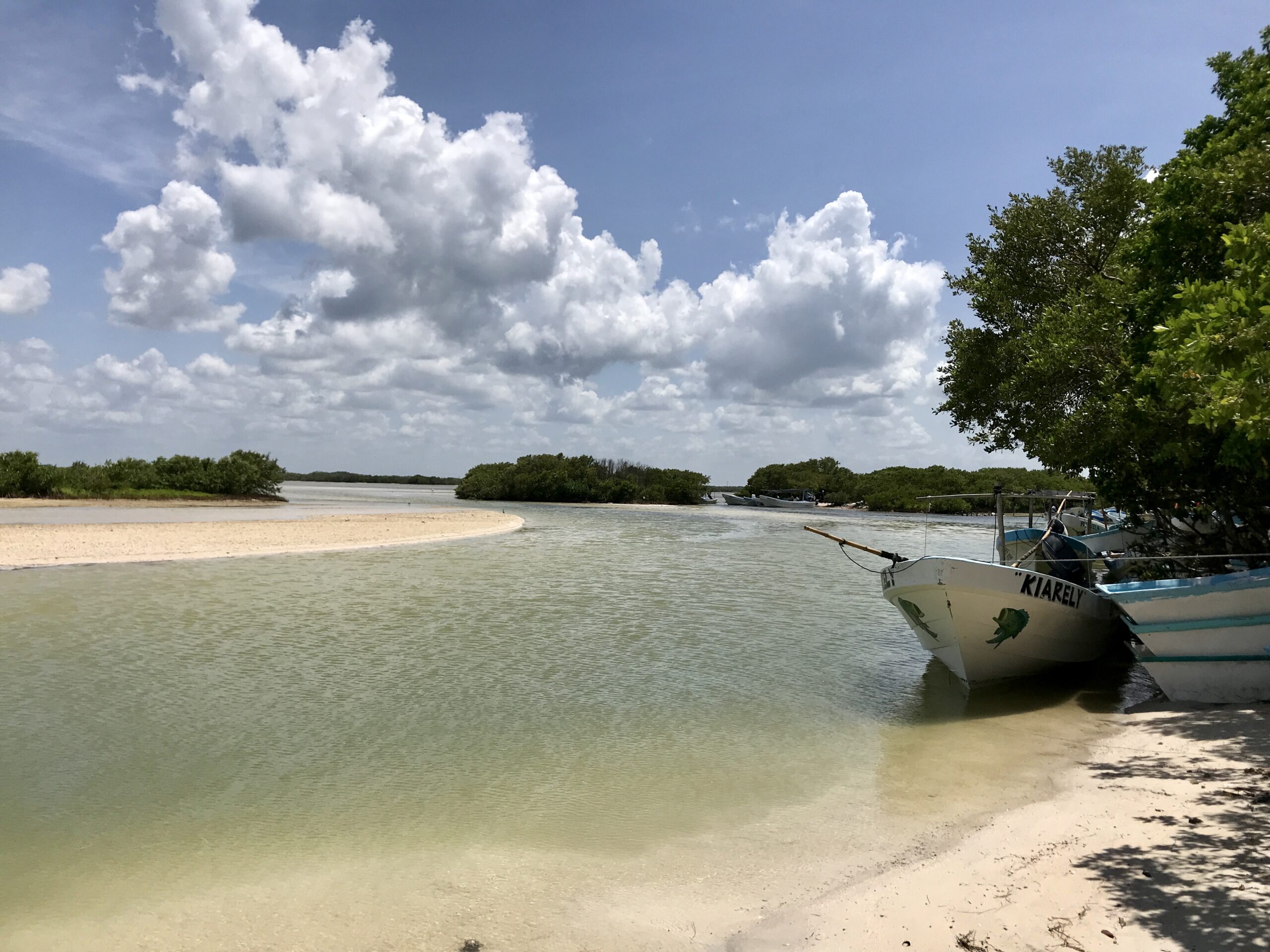 Conoce el puerto de chabihau en yucatán la revista del sureste mx Manglar En Chabihau Yucatan Scaled