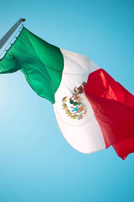 Mexicanos Extranjero Idiomas