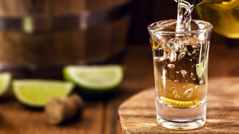 Mezcal Tequila