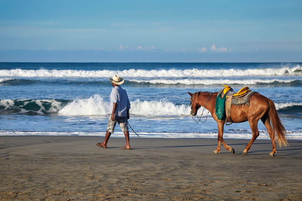 Paseo A Caballo En La Playa Shutterstock