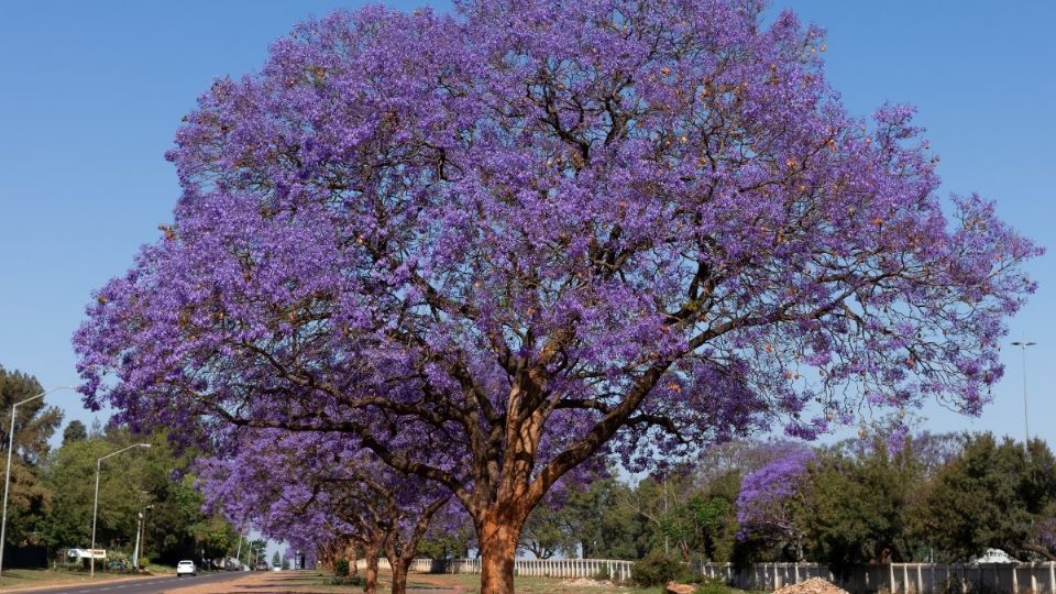Pueblo Magico Jiquilpan