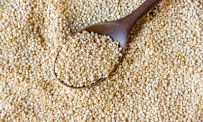top view quinoa with wooden spoon
