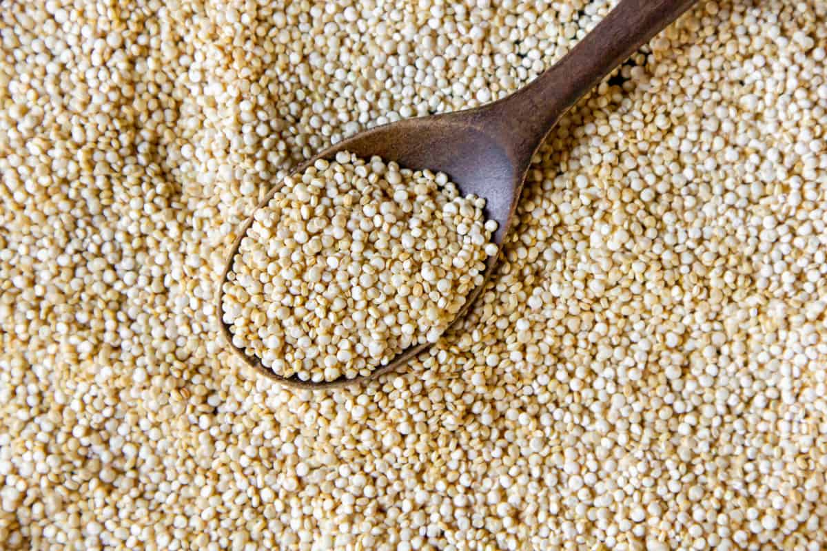 Amaranto, una planta ancestral con gran poder nutritivo