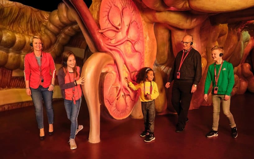 Corpus, el primer museo de biología humana del mundo la revista del sureste mx 71141 Fullimage Corpus