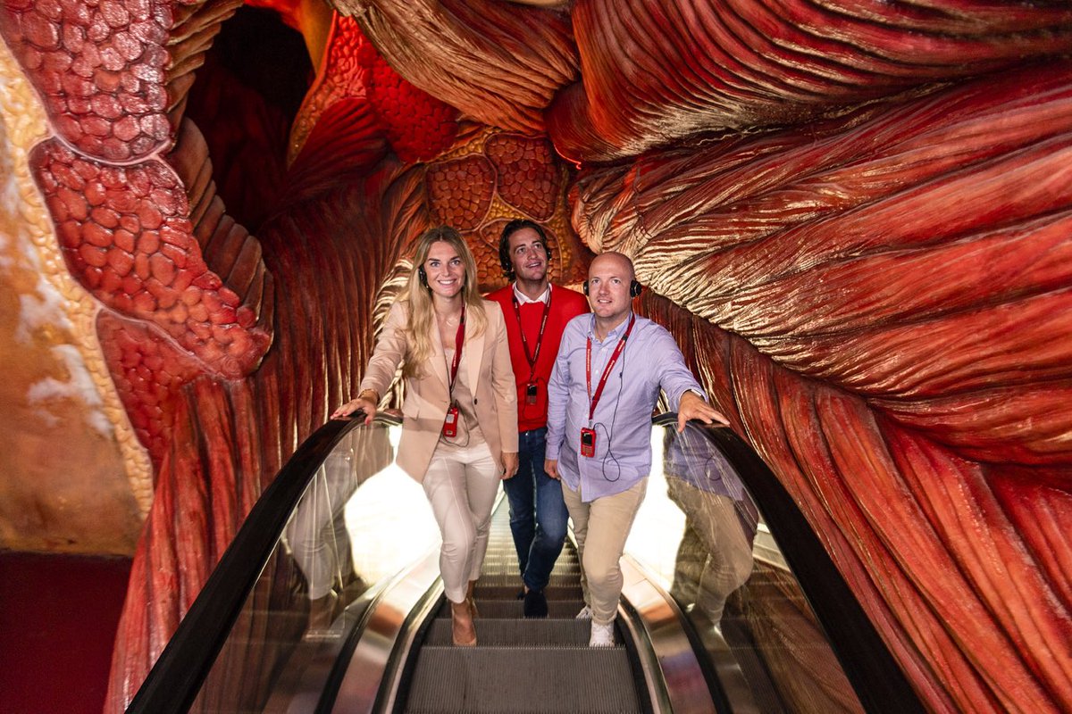 Corpus, el primer museo de biología humana del mundo la revista del sureste mx Er9Gmbtxmaaaisn