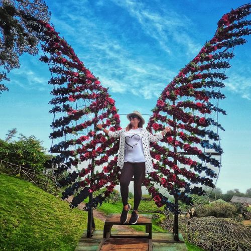 Mirador De Las Rosas En Hobbitenango Un Destino Para Tomar Fotografias Entre El Bosque De Guatemala