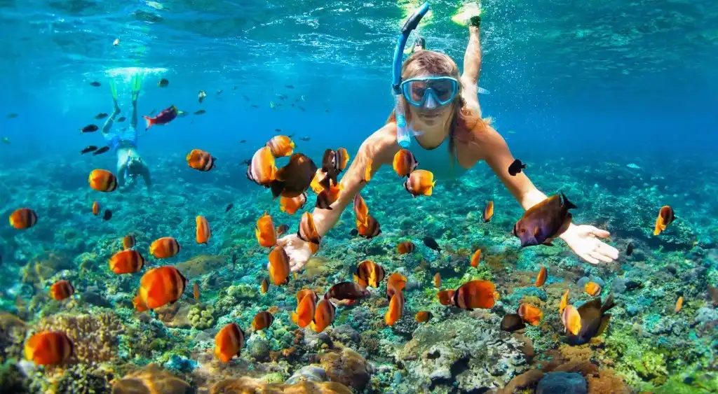 Las 10 mejores cosas que hacer en belice la revista del sureste mx Snorkeling 1 1024X563 1