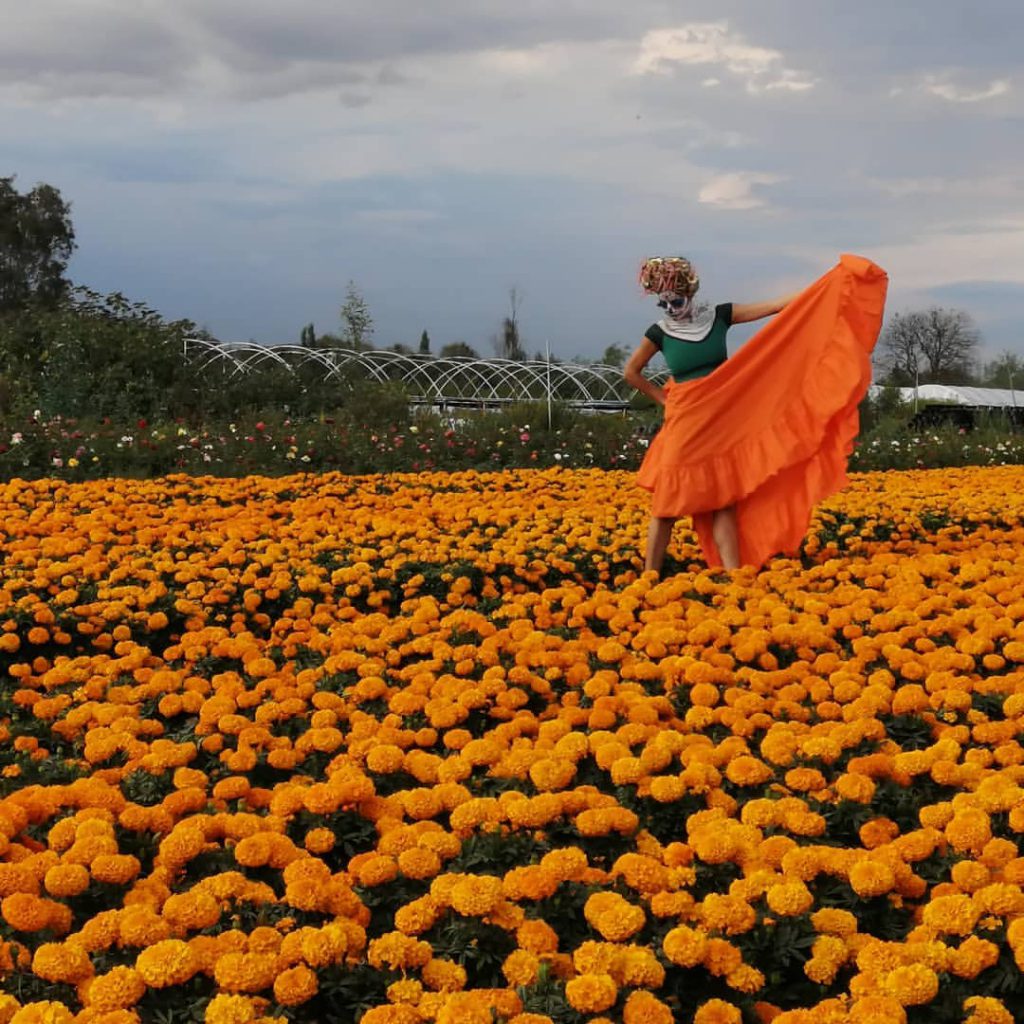 Campos de cempasúchil, una experiencia de tradición y fotografías ¡conócelos! La revista del sureste mx Cempasuchil Hidalgo Jpg