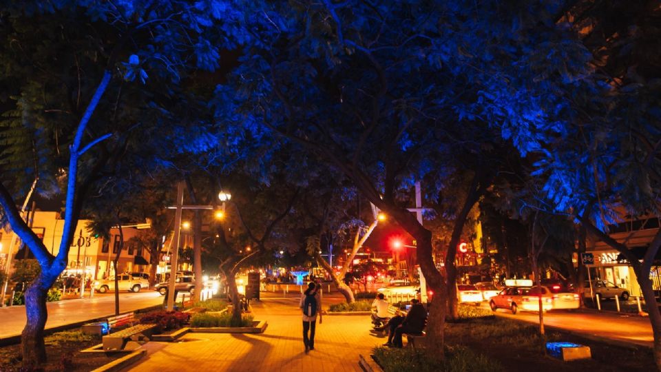 Colonia Amercana Guadalajara
