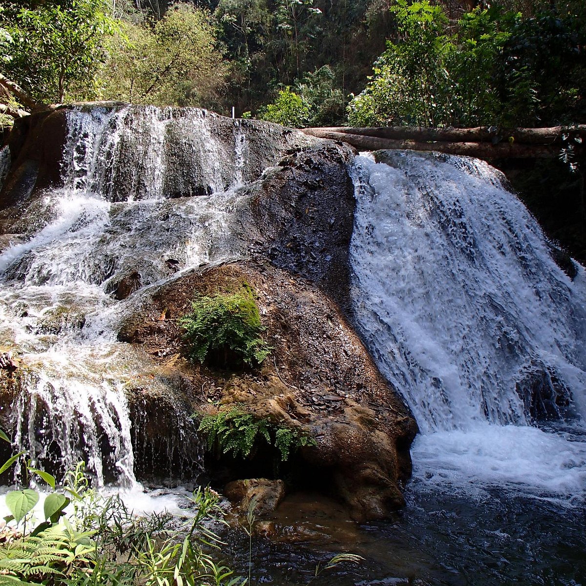 Cascadas mágicas de copalitilla, un paraíso de aventura en huatulco, oaxaca la revista del sureste mx Cool Refreshing