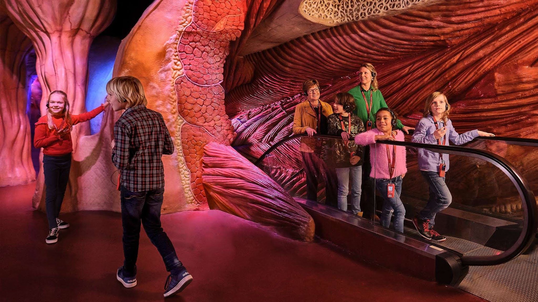 Corpus, el primer museo de biología humana del mundo la revista del sureste mx Corpus Museum Stears