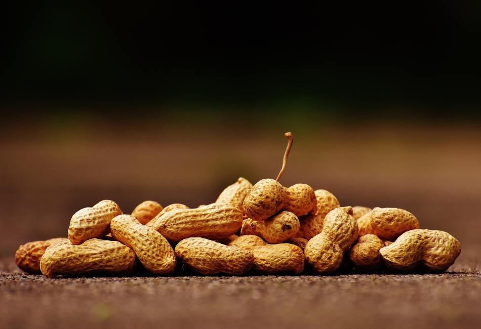 Día Mundial del Cacahuate: Conoce los beneficios de este gran alimento