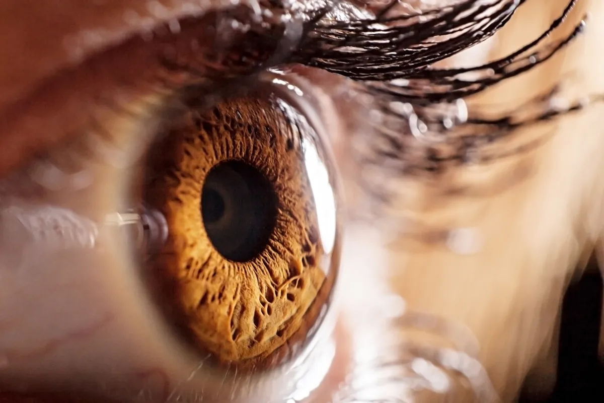 Día Mundial de la Visión: Los ojos son más que cámaras
