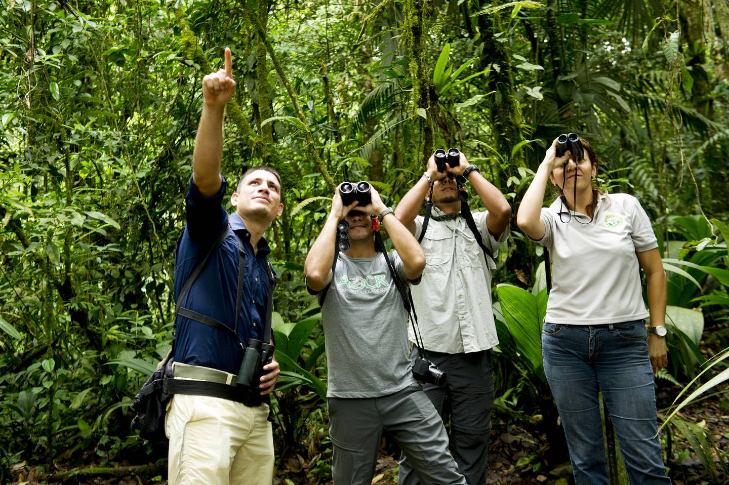 Hpflnhq7Lfgv7Dhgyhrxgfha5A 1