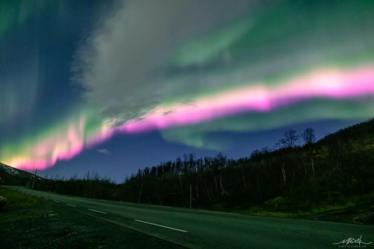 Auroras Boreales Rosas En Noruega