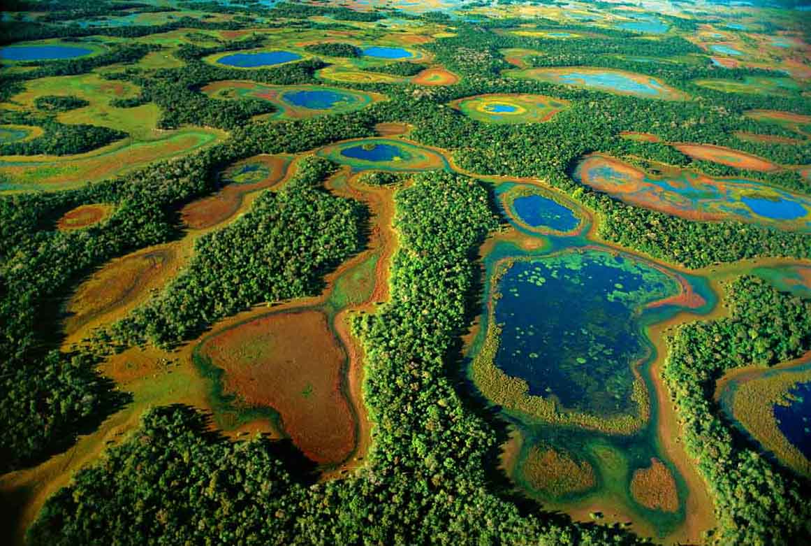 Pantanal