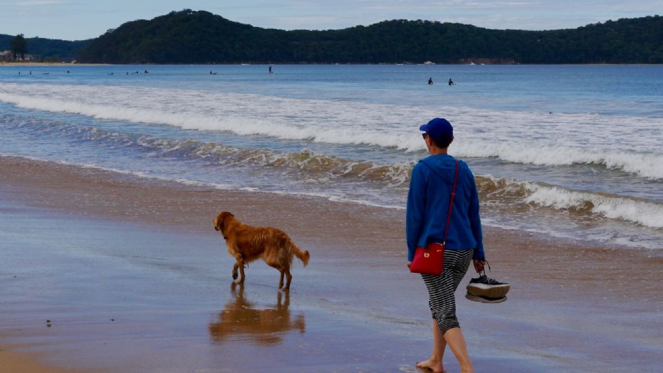 Pueblos Magicos Perro