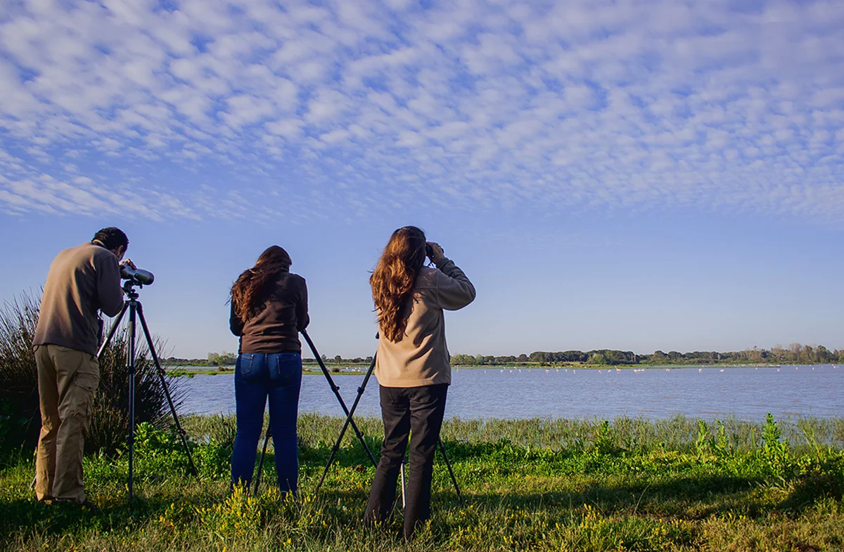 5 consejos para iniciarse en la observación de aves