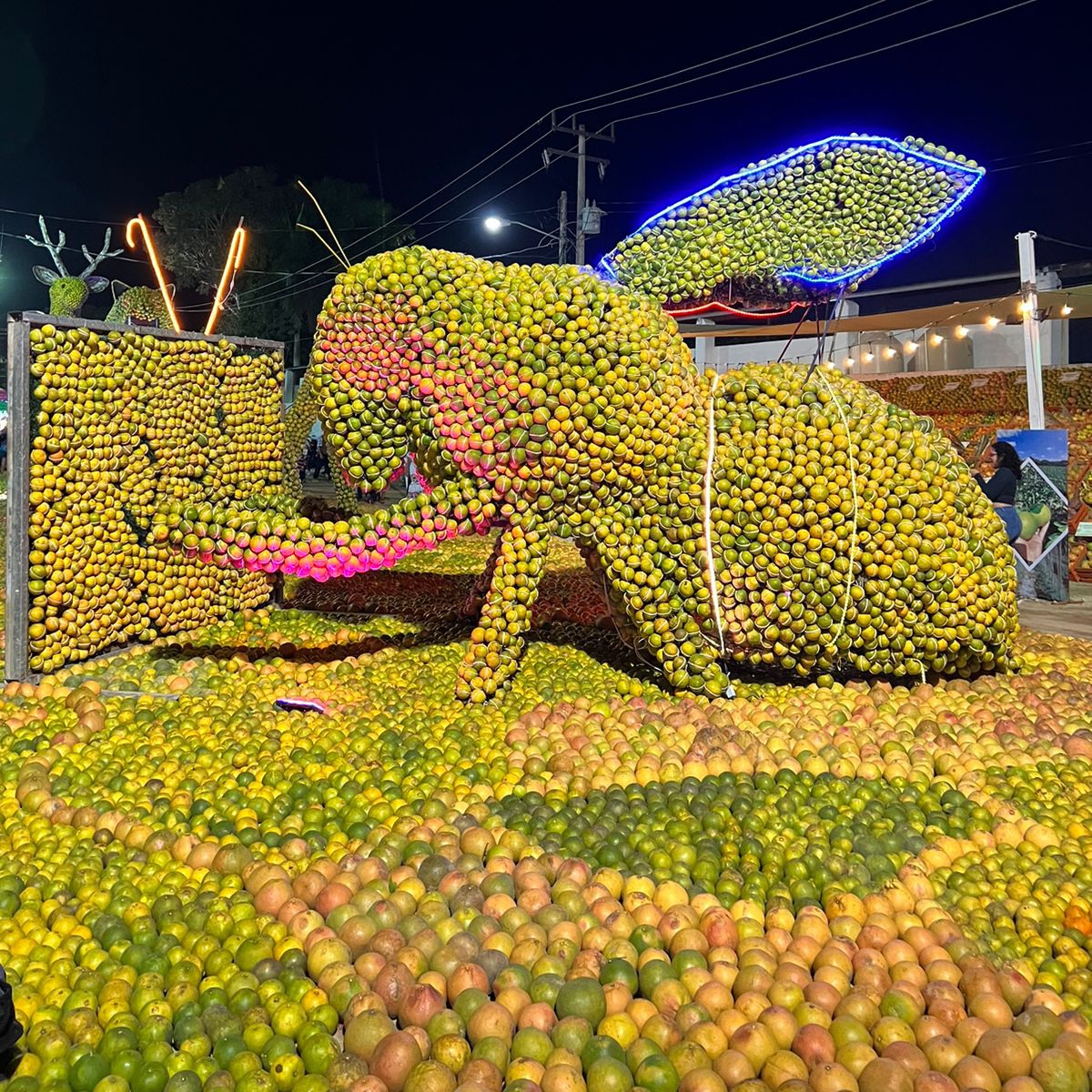 Llega la feria de la naranja en oxkutzcab, yucatán, estos son los eventos que habrá la revista del sureste mx Fjjh21 Wyaarqp3