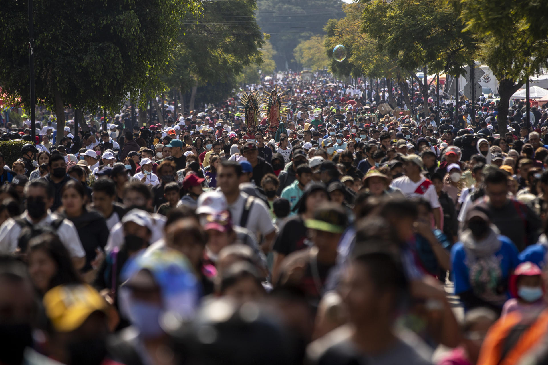 Día de la Virgen de Guadalupe: Celebraciones dejarán derrama económica de 14 mil mdp