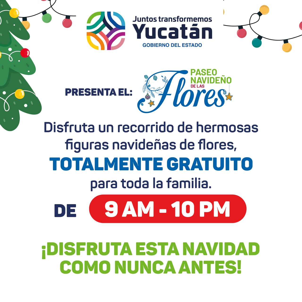 Llega el 'paseo navideño de las flores' a mérida, aquí los detalles la revista del sureste mx Img 20221202 091321 368